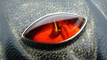 20th anniversary of the existence of Kurtiak & Ley Artistic Publishing House