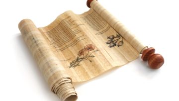 Owidiusz, O kosmetyce twarzy pań