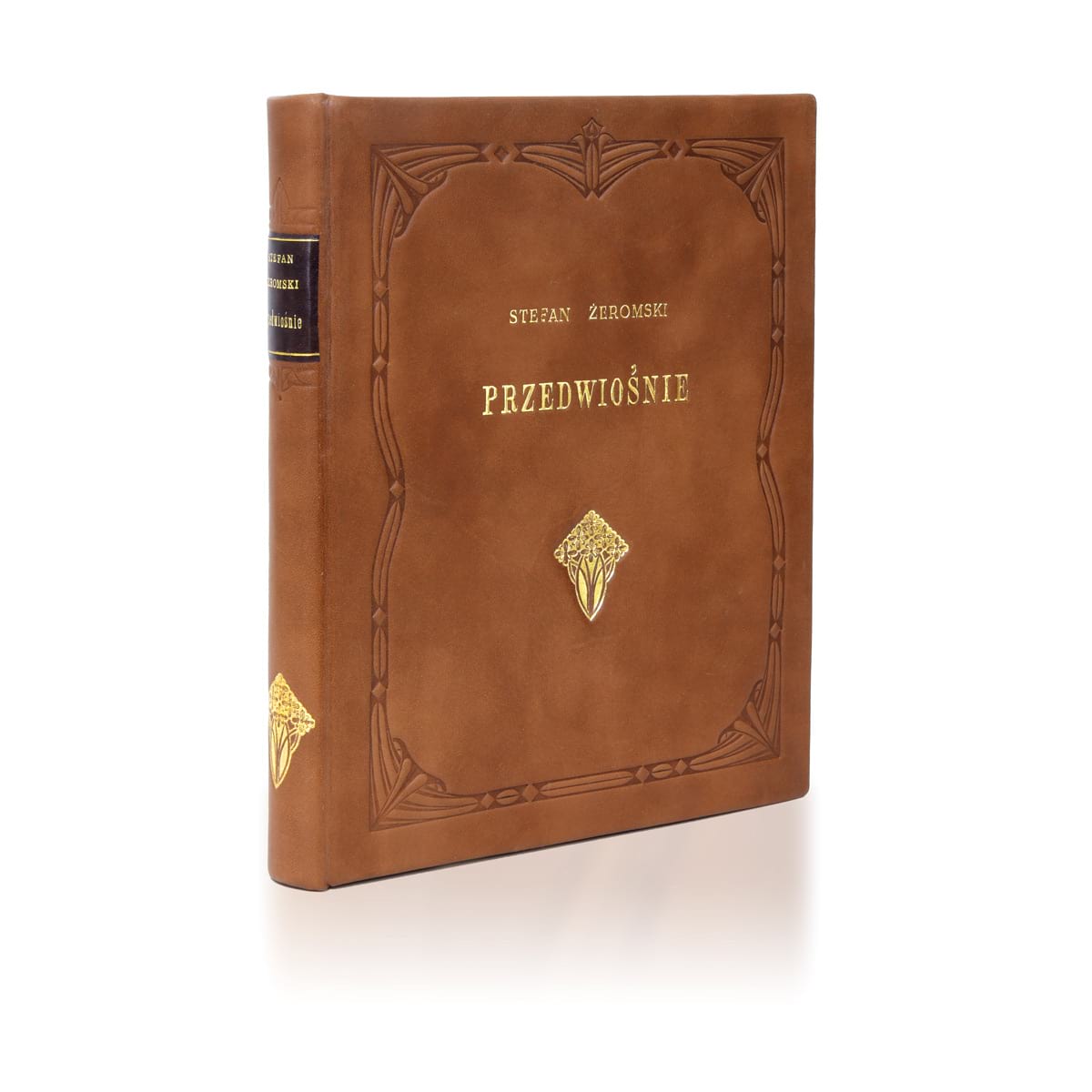 Żeromski Stefan, Przedwiośnie